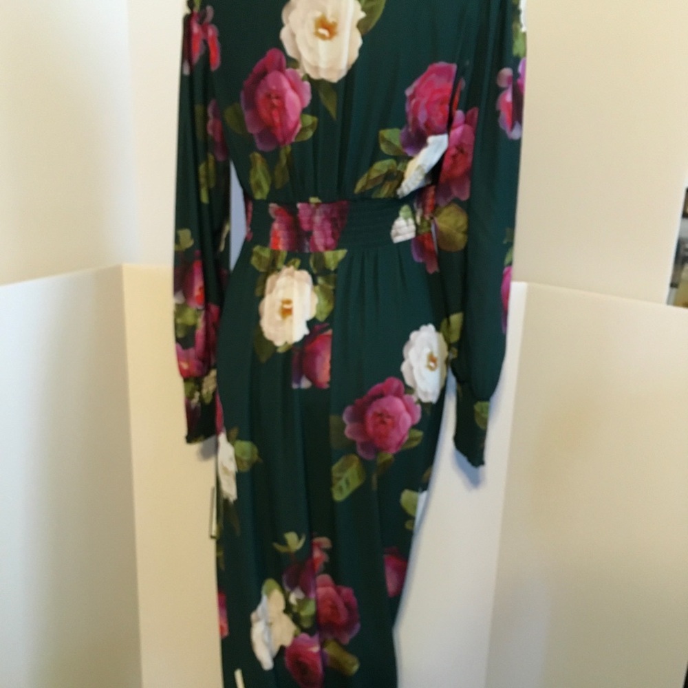Adrianna Papell Long Sleeve Green Floral V-Neck Maxi Dress - Picture 6 of 7